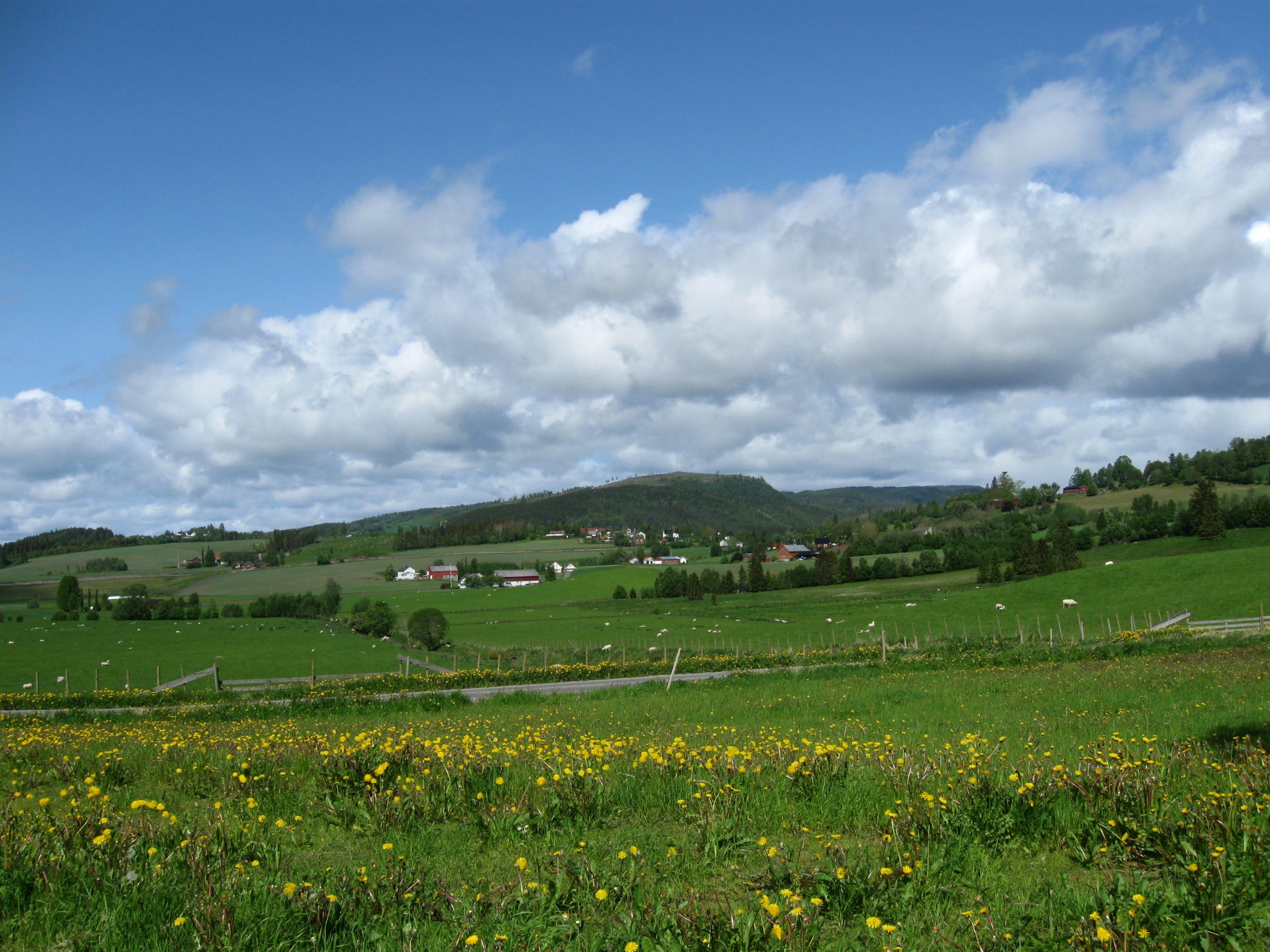 Åre - Stiklestad - Olavsweg